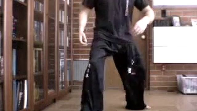 ZXD-ILC Stepping - Absorb and Project - Horizontal Plane смотреть онлайн