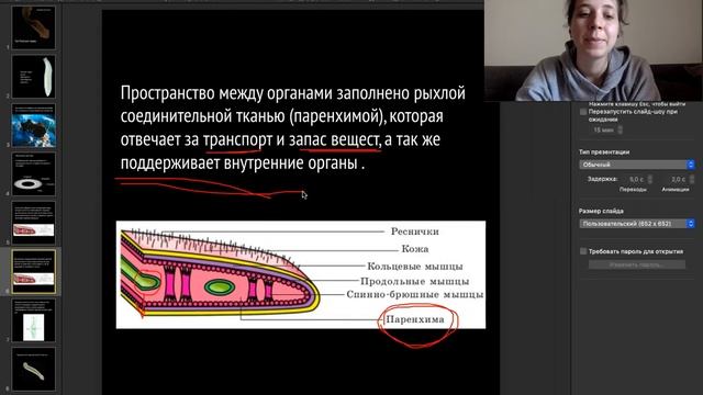 Плоские черви - общая характеристика смотреть онлайн