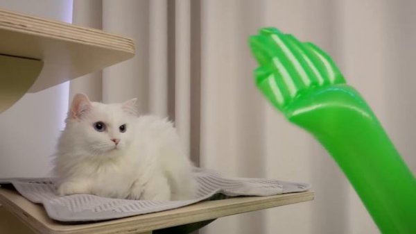 Cats vs Alien | Kittisaurus