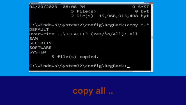 CHOOSE AN OPTION WINDOWS 11