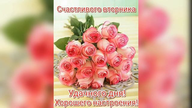 Чудесного вторника! Прекрасного вторника! Удачного вторника! смотреть онлайн