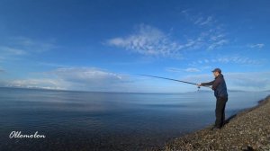 Как ловят кАмбалу в Магадане. Звёздчатая камбала VS Желтопёрая камбала.