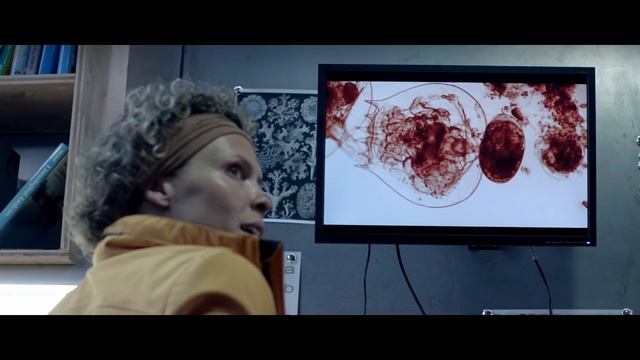 The Mutating Bacteria of Blood Glacier Pathophysiology | Prokaryotic Gene Alteration Abilities смотреть онлайн
