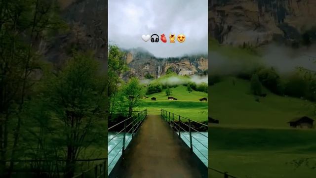 ? СубхонАллах послушайте как же он красиво читает Каран Ма ша Аллох ☝?? #палестина #мусульмане #газ смотреть онлайн