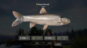 ГДЕ И КАК ПОЙМАТЬ АМУРА. Оз. Старый Острог. Русская Рыбалка 4