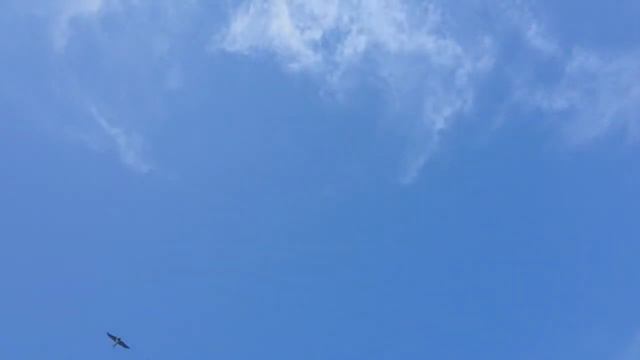 Радуга,и вечная музыка Бетховена.Человечество вернитесь к прекрасной музыке... смотреть онлайн