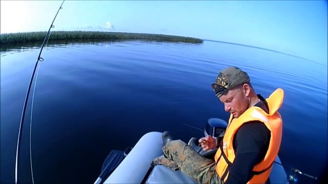 Ленинградская обл рыбалка, ОНЕГА, ТРИ ДНЯ ЖОРЕВА СРЕДНЕГО ОКУНЯ ,СУДАК ШАЛИТ авгусь 2018 смотреть онлайн