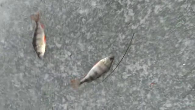 Рыбалка на Пруду смотреть онлайн