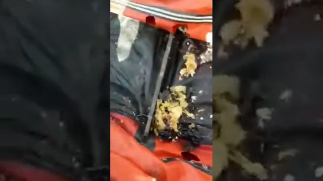 Мышки погрызли лодку смотреть онлайн