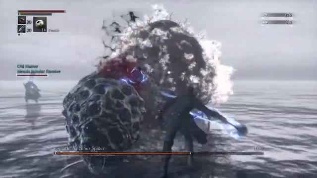 Bloodborne™- Rom, the Vacuous Spider glitch смотреть онлайн