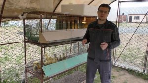 ОШИБКИ ИНКУБАЦИИ. Как правильно инкубировать гусиные яйца.