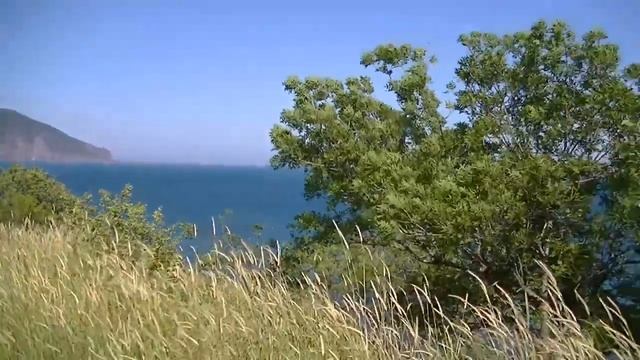 посёлок Кача фото, виртуальная Кача, гарнизон, Кача, Кача летом, смотреть онлайн