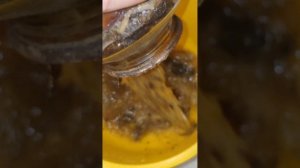 Тысячелетние помидоры 🤢