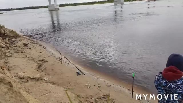 Рыбалка на донку на реке Пяка-пур. смотреть онлайн