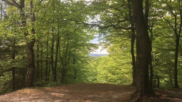 Половое воздержание и nofap. Моя история