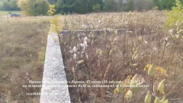Проців. Продаж земельної ділянки 47 соток, під забудову та ОСГ. смотреть онлайн
