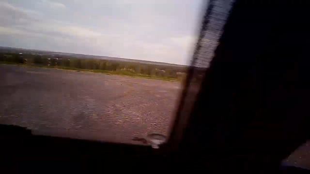 Белая лайка (небольшой забег). смотреть онлайн