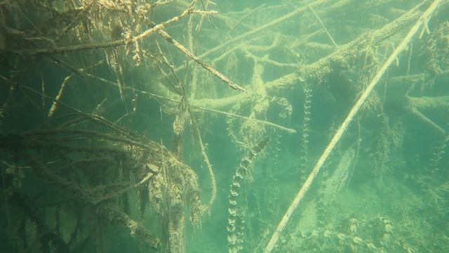 НАЦИОНАЛЬНЫЙ ПАРК КРКА / ВОДОПАД СКРАДИНСКИЙ БУК / ХОРВАТИЯ? KRKA / SKRADINSKY BUK WATERFALL/CROATI смотреть онлайн