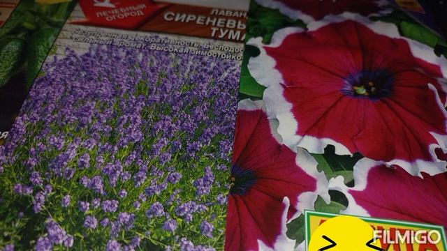 Что в 100 раз лучше навоза на даче... смотреть онлайн