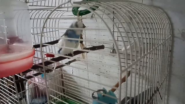 01.12.23 Запорожье 💥 ВОТ ТАКОЕ У НАС НАЧАЛО 🤨 смотреть онлайн