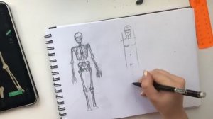 Как рисовать человека?