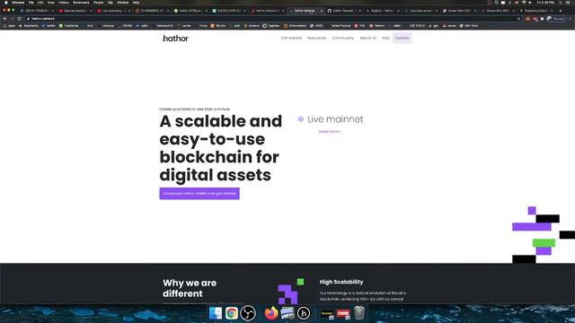 Hathor Network - HTR Token - Believe The Hype. смотреть онлайн