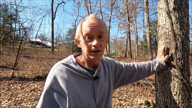 This Is The End Of YouTube Videos Off Grid Living In A Tiny House смотреть онлайн