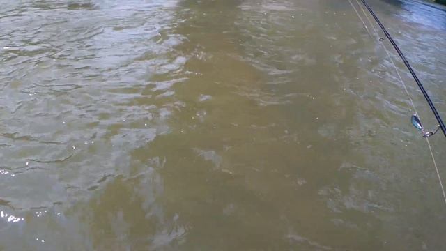 Рыбалка на реке Меша в конце июля, голавль, окунь, судак. Где крупная рыба? смотреть онлайн