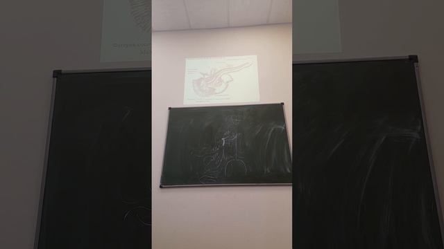 Пищеварительные железы ЖКТ смотреть онлайн