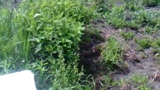 Вопрос ответ! смотреть онлайн