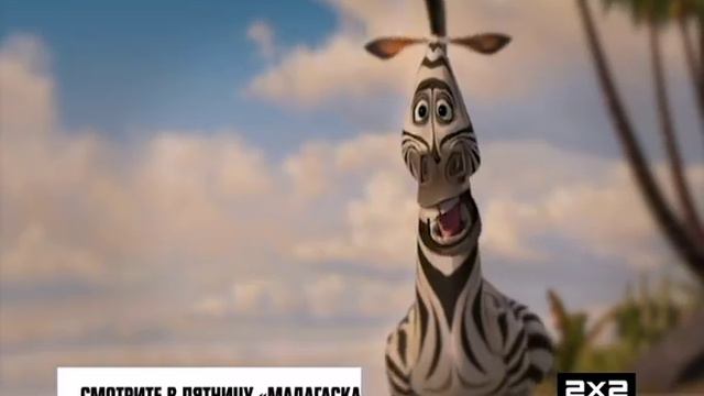 Мадагаскар. В пятницу в 20:35 смотреть онлайн