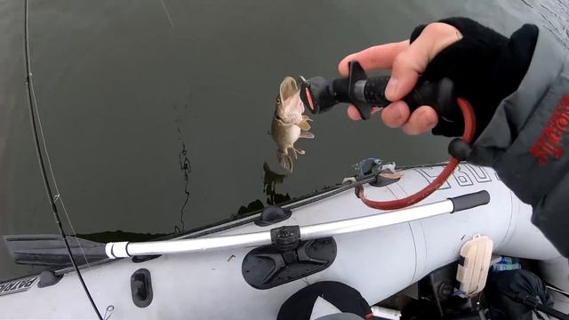 Рыболовы на Природе