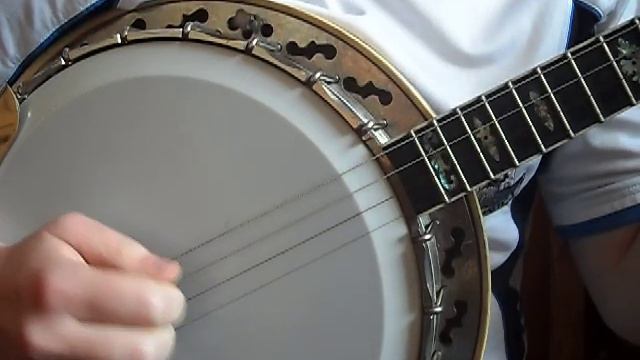 Tenor Banjo Irish Reel (Rakish Paddy) CGDA tuning смотреть онлайн