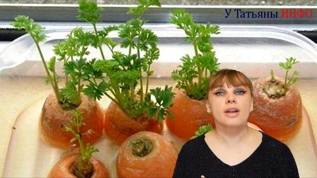 Фотография Портретов