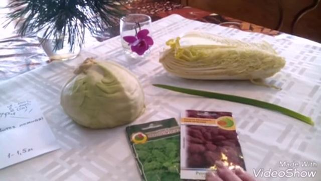 Капуста листовая или Кале смотреть онлайн