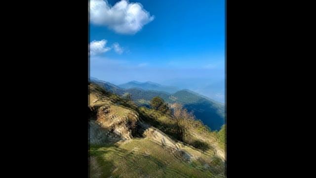 Раисат Магомедова - Урк!и бузули лебай. Сл. М. Сулейманова 2023