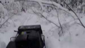 Паксус 600 тайга