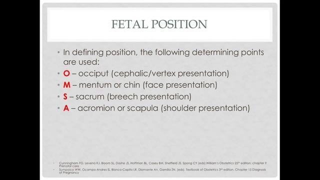 Fetal position (updated lecture) смотреть онлайн