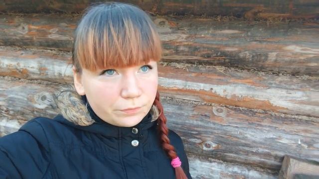На нас свалился Ястреб! Как помочь дикой птице?ЯСТРЕБ-ПЕРЕПЕЛЯТНИК смотреть онлайн