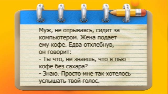 ✔️Чтобы подковы приносили счастье, надо прибить их к копытам и пахать, пахать... Анекдоты с Волком. смотреть онлайн