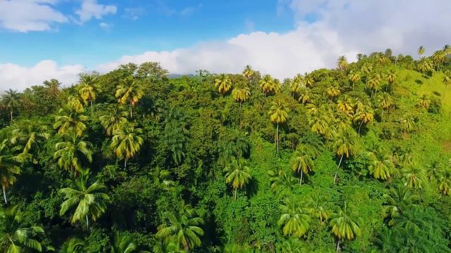 【4K】3.5 HOUR DRONE FILM: «Jazz in the Caribbean» Ultra HD (for 2160p Ambient TV) смотреть онлайн