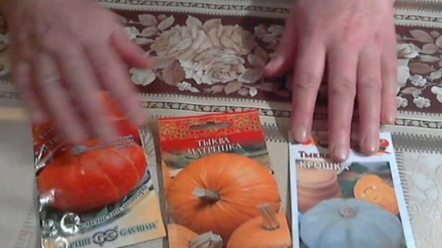 Что буду сажать! Обзор семян Тыквы:Плюшка,Крошка и Матрёшка от фирмы Гавриш! смотреть онлайн