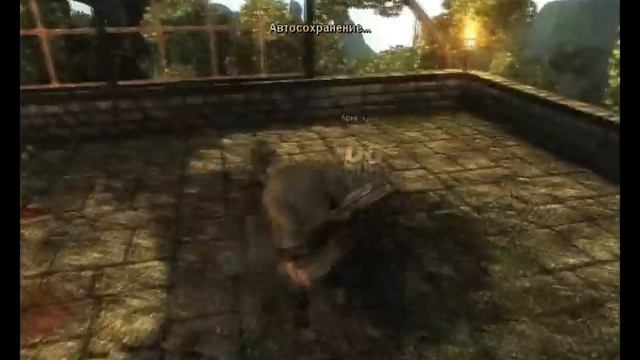 Risen - тренировочный бой на посохах смотреть онлайн