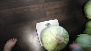 Капуста Белорусская 455 и Зимовка 1474.