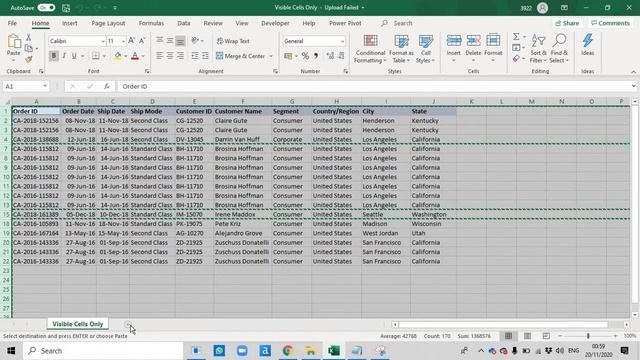 Visible Cells Only смотреть онлайн