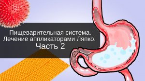 Пищеварительная система. Лечение аппликаторами Ляпко. Часть 2