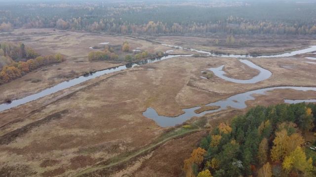Слияние Луги и Оредежа.