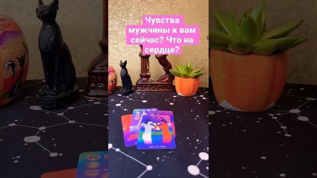 Чувства мужчины к вам сейчас? Что на сердце? ❤️#раскладытаро #таро #отношения #картытаро смотреть онлайн