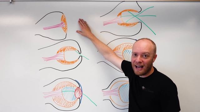 The Coolest Eyeball Video You'll Ever See смотреть онлайн