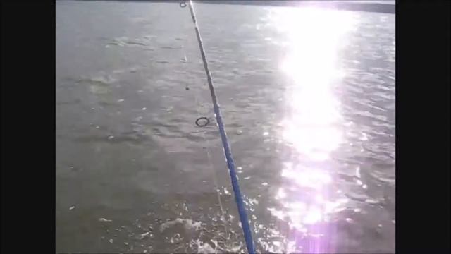 С лодкой в -5, на Яузском водохранилище в ноябре ! смотреть онлайн